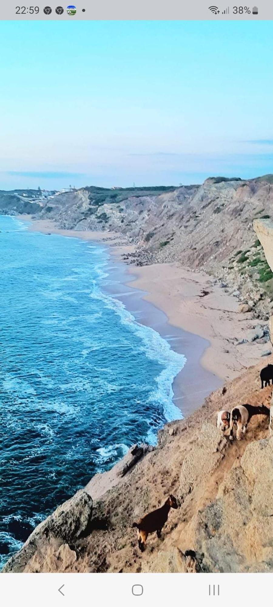 Casa Do Portao Azul - Espadarte Атогия да Балея Екстериор снимка